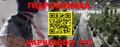 каннабис Новодвинск