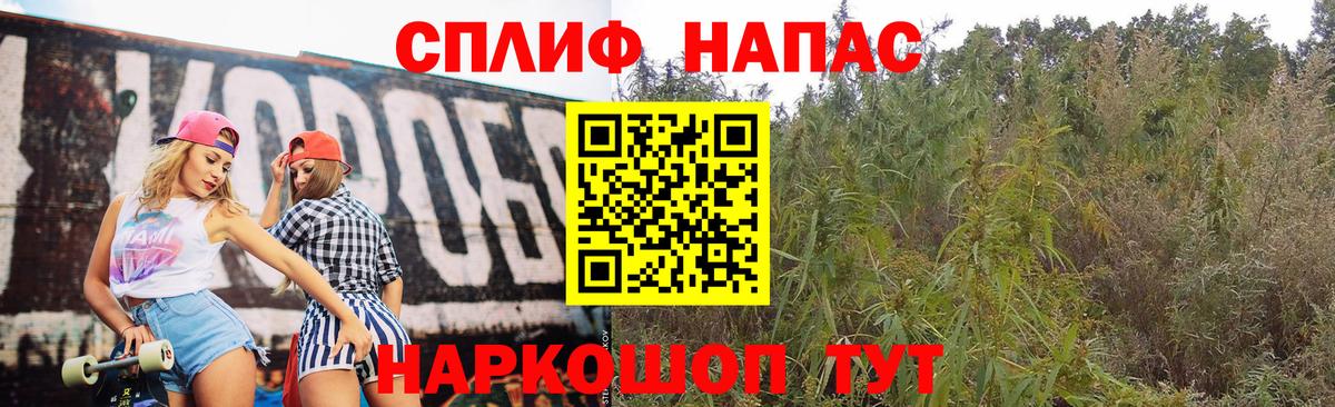 Бошки марихуана марихуана  Конопля White Widow  Вход с VPN  Сафоново  Бошки марихуана семена  Каннабис план 